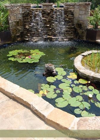 Not a single onf od Austin's Best Hotels or Boutique Hotels has anything like this to offer you.